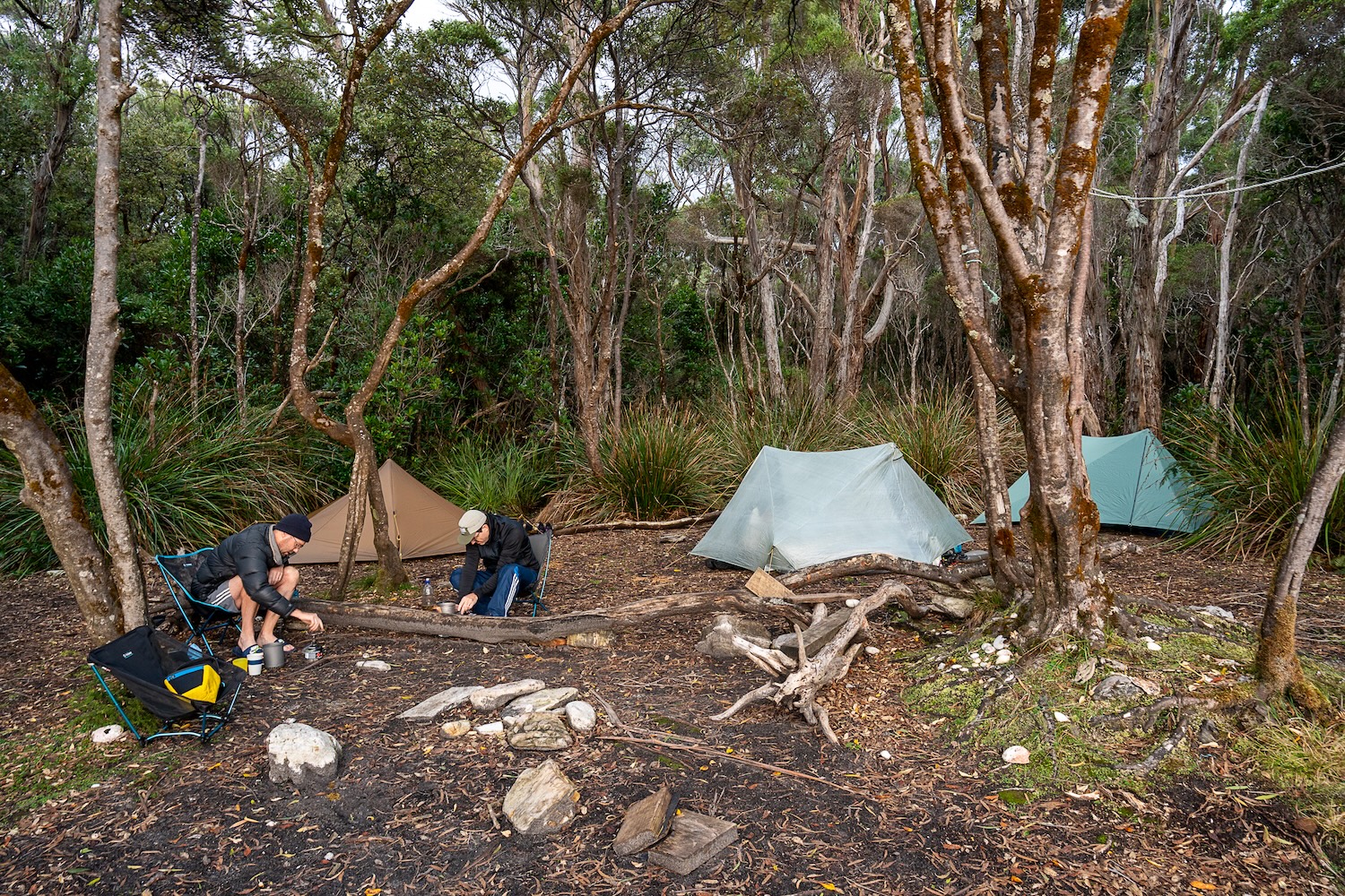 Tent Comparison Guide